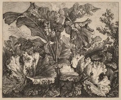 Small Plant Study: a Burdock, Delicate Tufts of Grass at Left