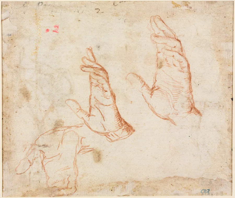 Study of Hands (verso) by Camillo Procaccini