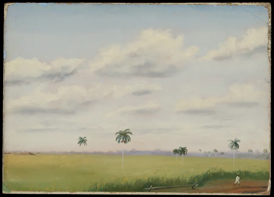 Ingo, San Martin, Cuba by Charles Dewolf Brownell