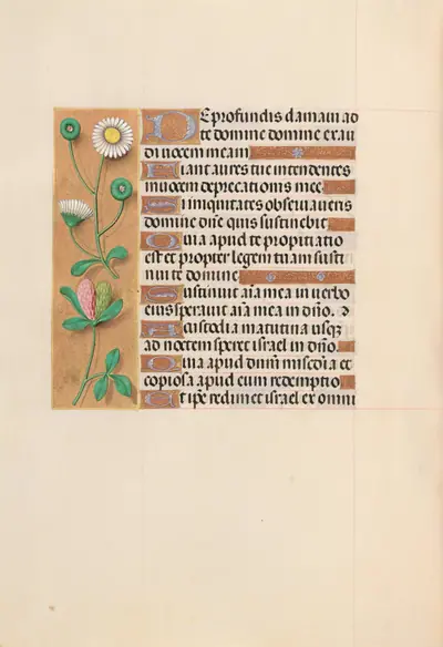 Hours of Queen Isabella the Catholic, Queen of Spain: Fol. 208v