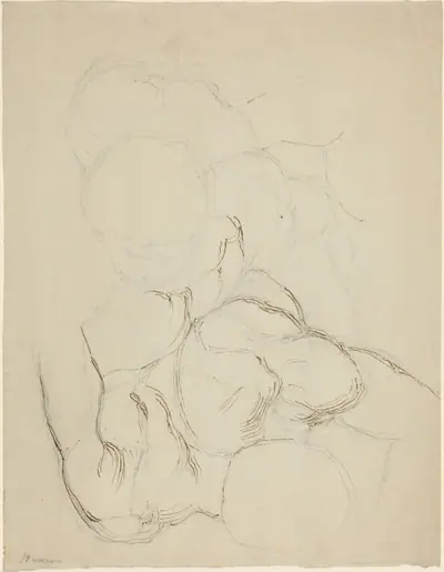 Two Male Nudes seen from Above