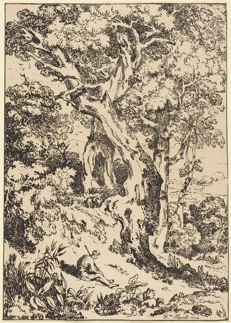 Study of Trees and Shrubs with Seated Figure by William Havell