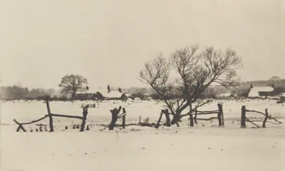 The Snowy Marshlands