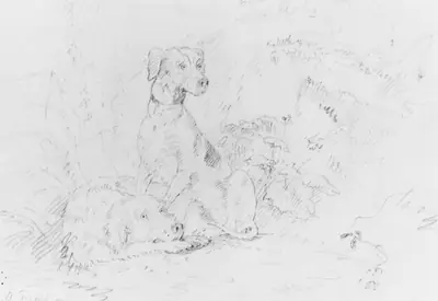 Scene with Dogs (from McGuire Scrapbook)