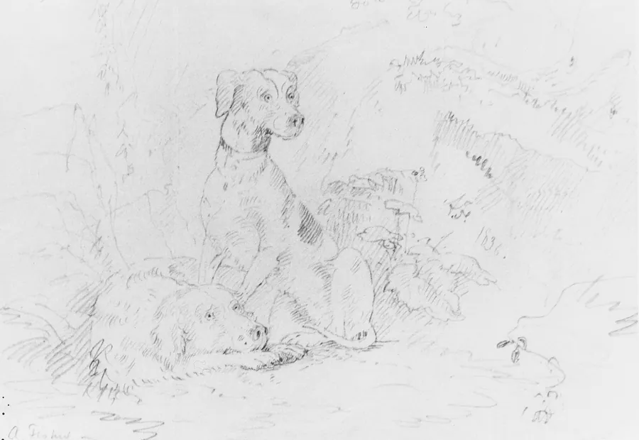 Scene with Dogs (from McGuire Scrapbook) by Alvan Fisher
