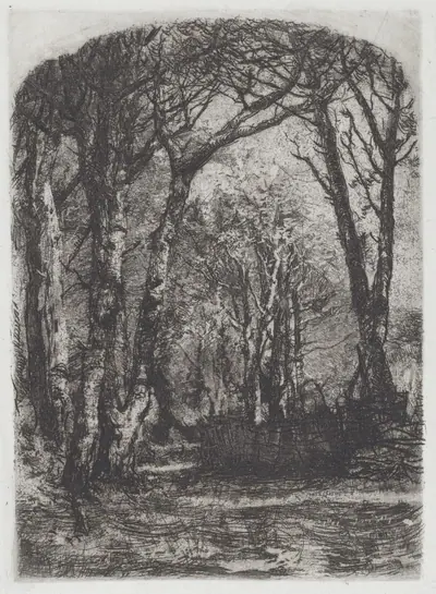 Bosco [Woods]
