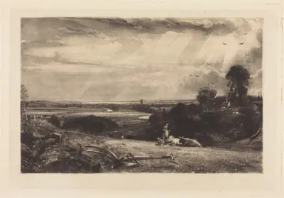 Summer Morning