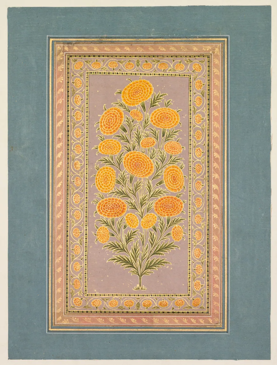 Flowering Marigold (verso) by Hunhar II