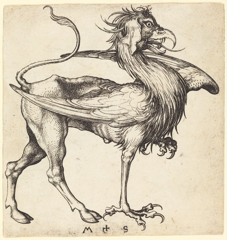 The Griffin by Martin Schongauer
