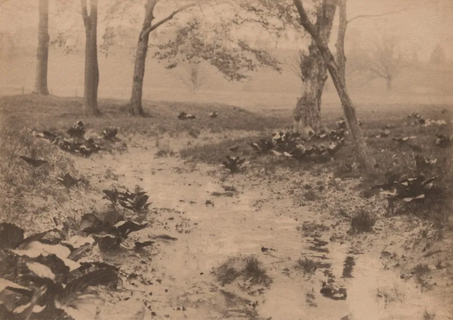 Spring Landscape by Robert S. Redfield