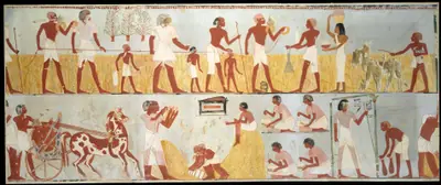 Harvest Scenes, Tomb of Menna