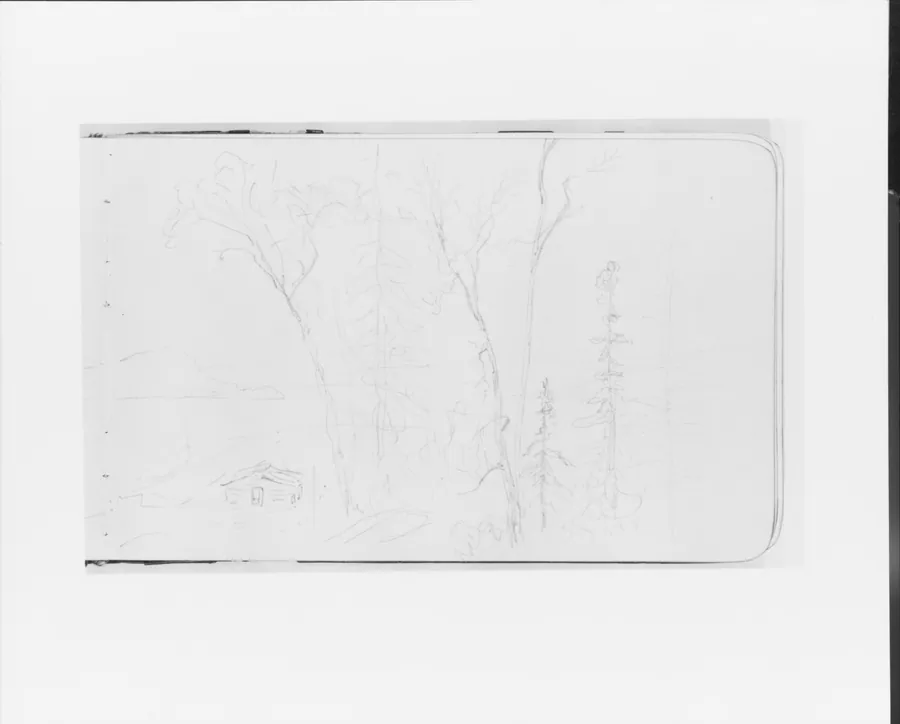 Landscape with Bay, Trees, and Mountains [Red Rock?] (from Sketchbook) by Albert Bierstadt