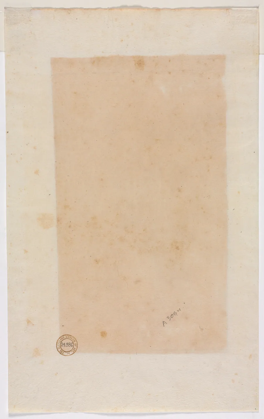 Border Lines (verso) by Luzio Romano