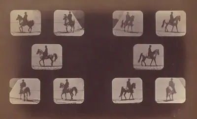 Studies of Foreshortenings. Horses. Walking. Mahomet. Nos. 119-120