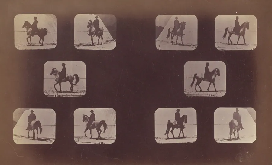 Studies of Foreshortenings. Horses. Walking. Mahomet. Nos. 119-120 by Eadweard Muybridge