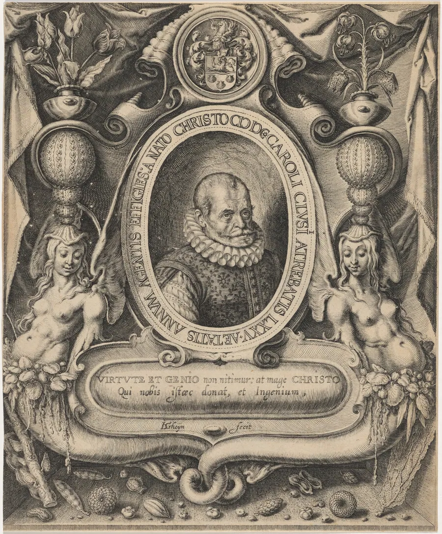 Carolus Clusius, Professor of Botany at Leyden by Jacques de Gheyn II