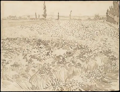 Wheat Field
