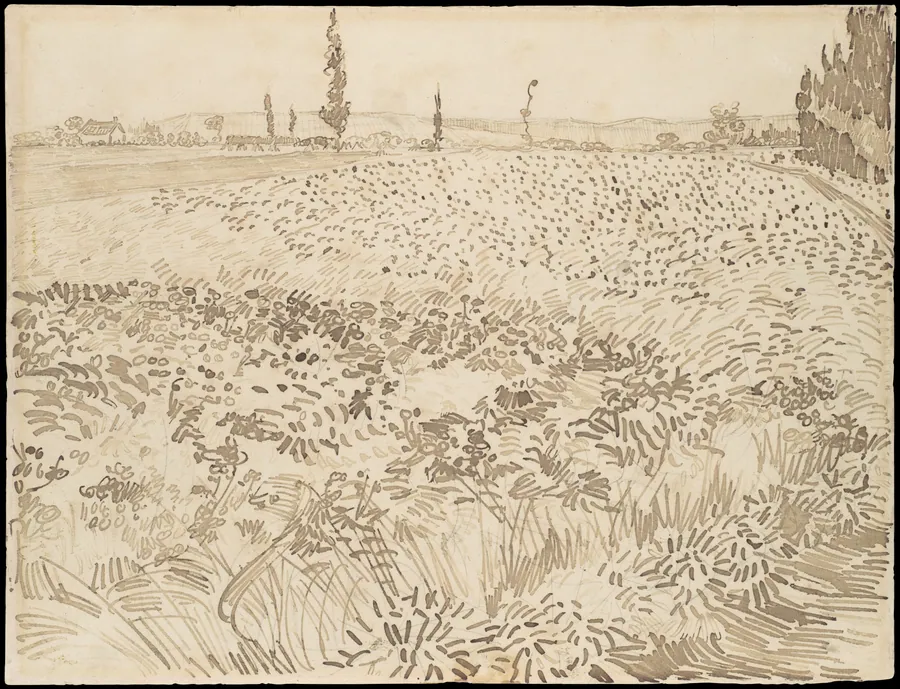 Wheat Field by Vincent van Gogh