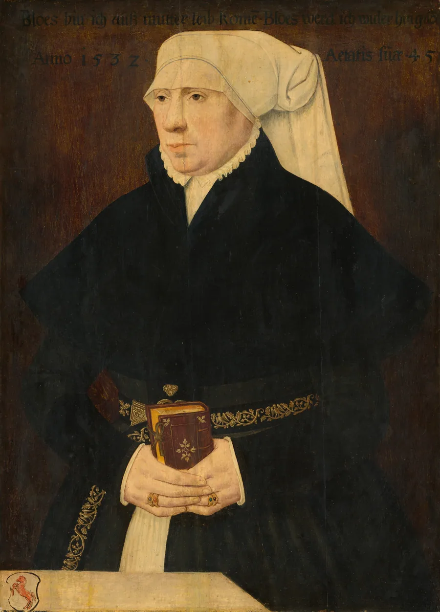 Portrait of a Lady by German 16th Century