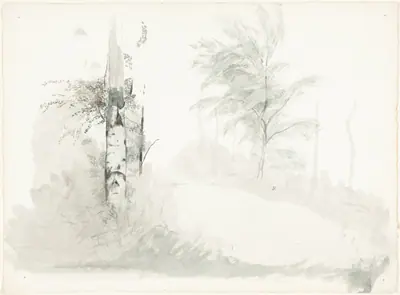 Tree Study