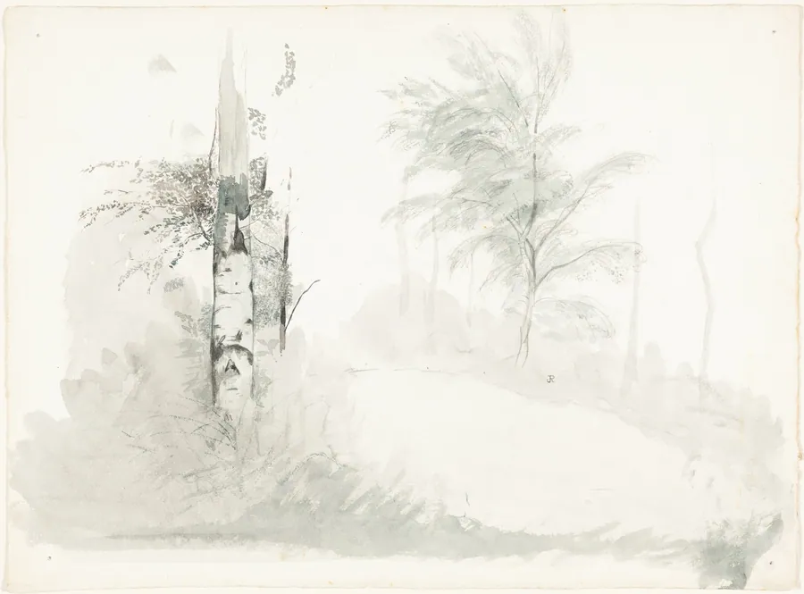 Tree Study by John Ruskin