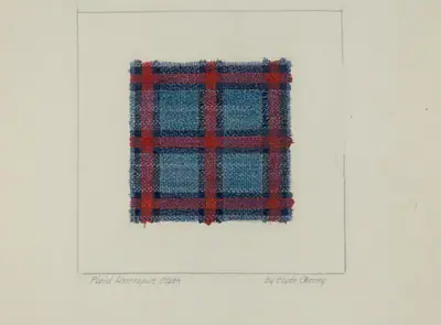 Plaid Homespun Cloth