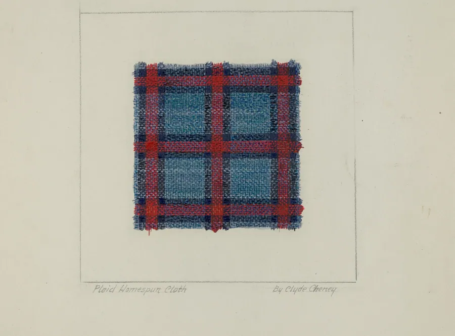 Plaid Homespun Cloth by Clyde L. Cheney