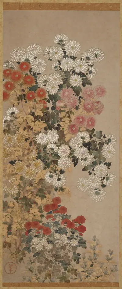 Chrysanthemums