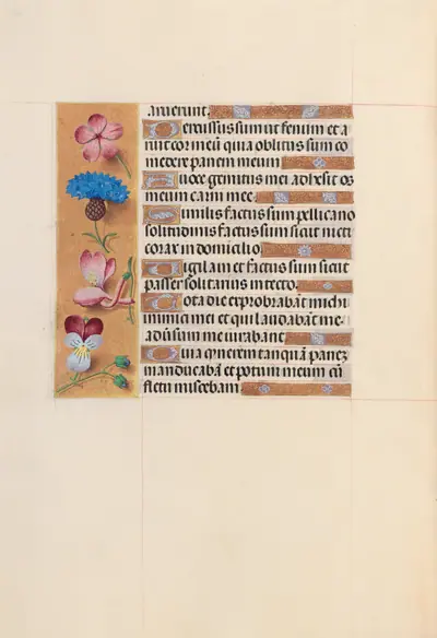 Hours of Queen Isabella the Catholic, Queen of Spain: Fol. 206v