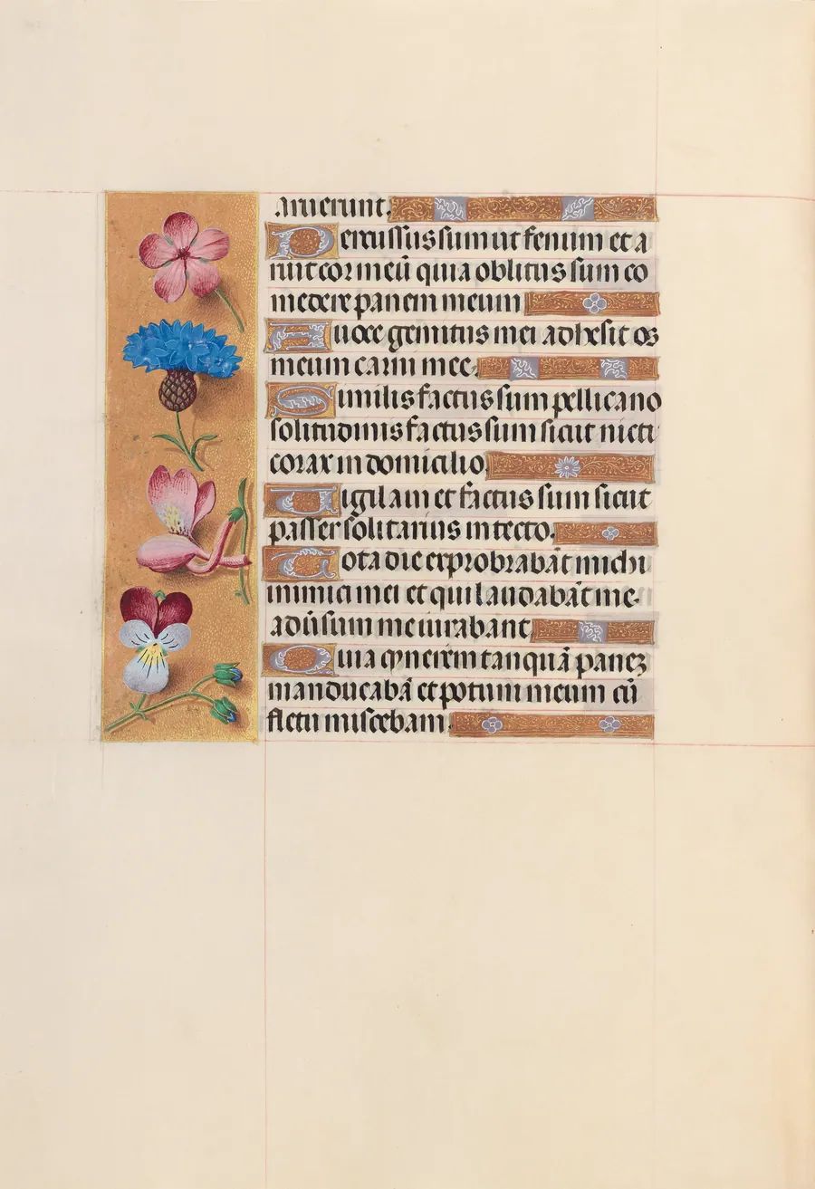 Hours of Queen Isabella the Catholic, Queen of Spain:  Fol. 206v by Master of the First Prayerbook of Maximillian