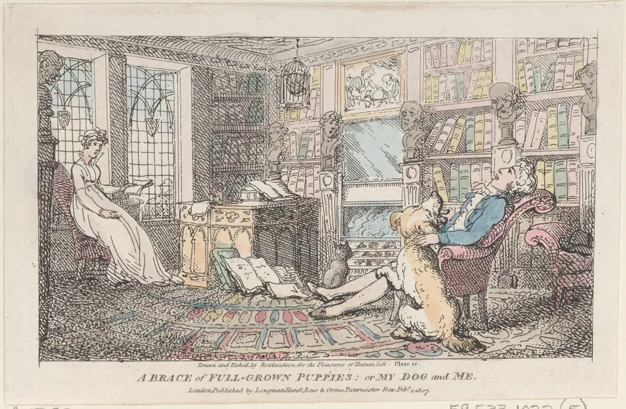 A Brace of Full-grown Puppies: or My Dog and Me by Thomas Rowlandson