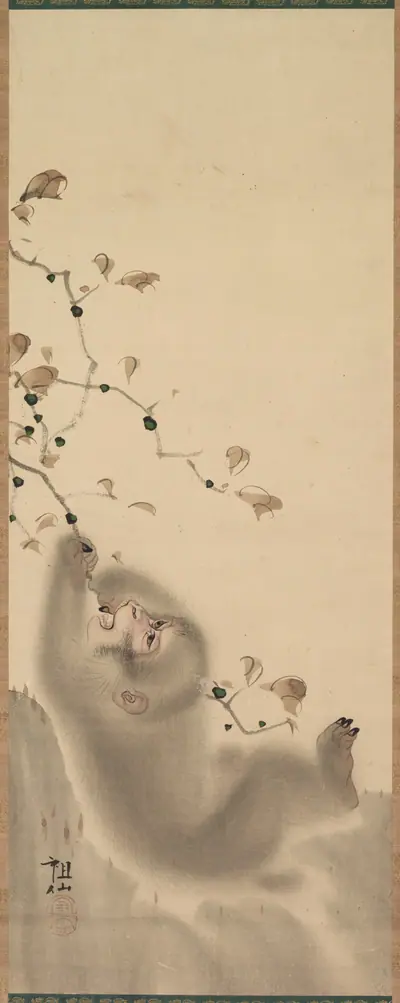 Monkey Hanging on to a Branch