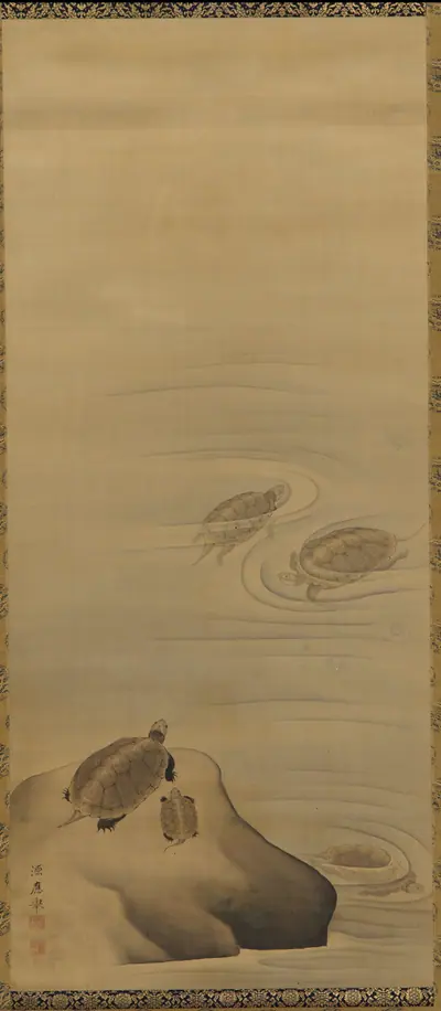 Turtles