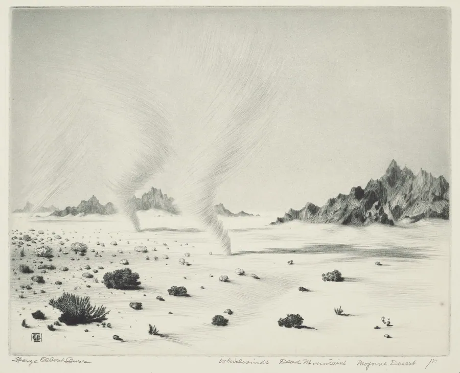 Whirlwinds, Dead Mountains, Mojave Desert, California by George Elbert Burr