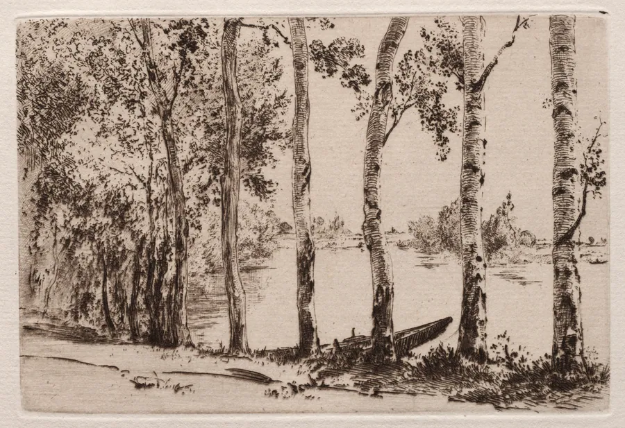 Aspens on the Bank of the Seine by Félix Bracquemond