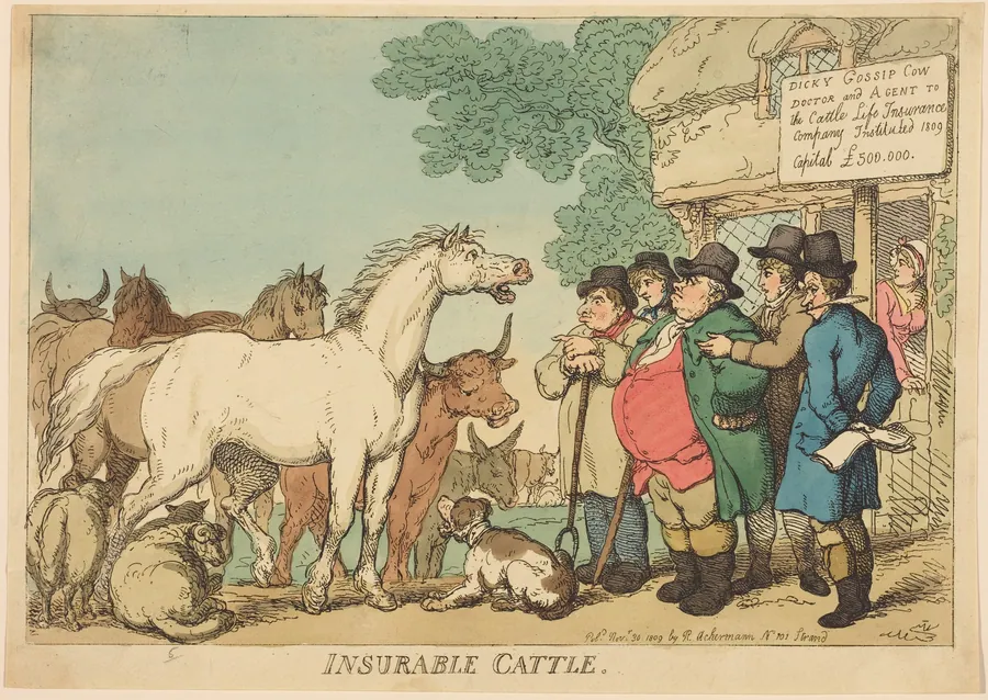 Insurable Cattle by Thomas Rowlandson