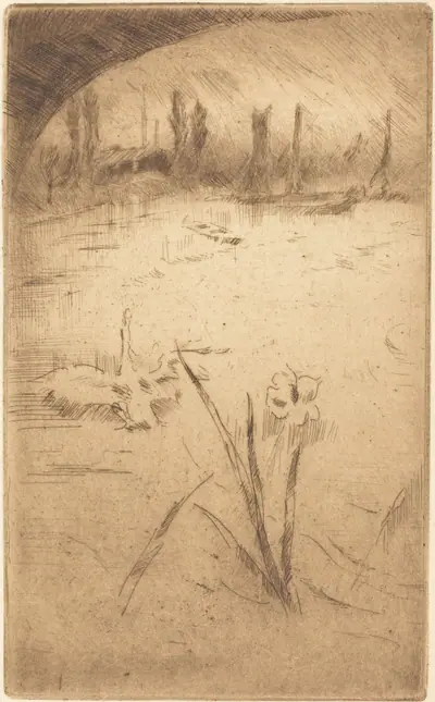 Swan and Iris