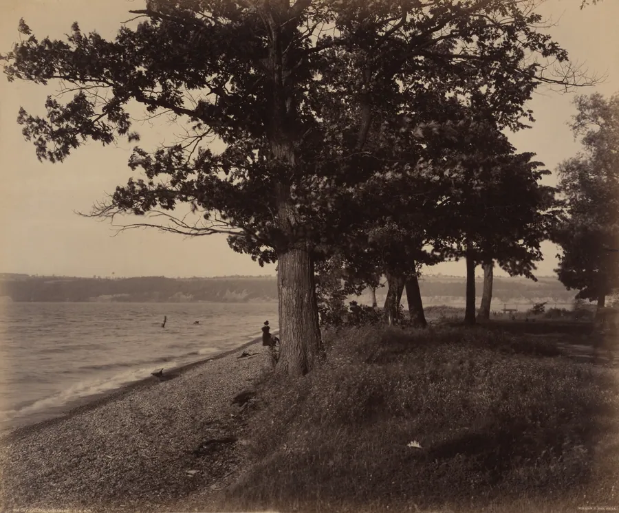 Cayuga Lake, Sheldrake by William H. Rau