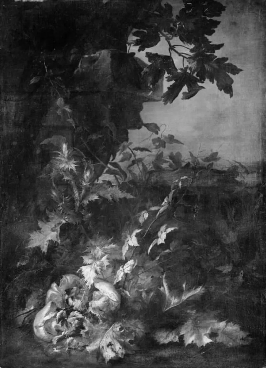 Tidsler og paddehatte by Jean-Baptiste Gaijot Dubuisson