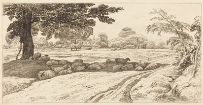 Sheep at Noon
