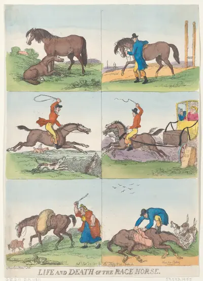 Life and Death of the Race Horse
