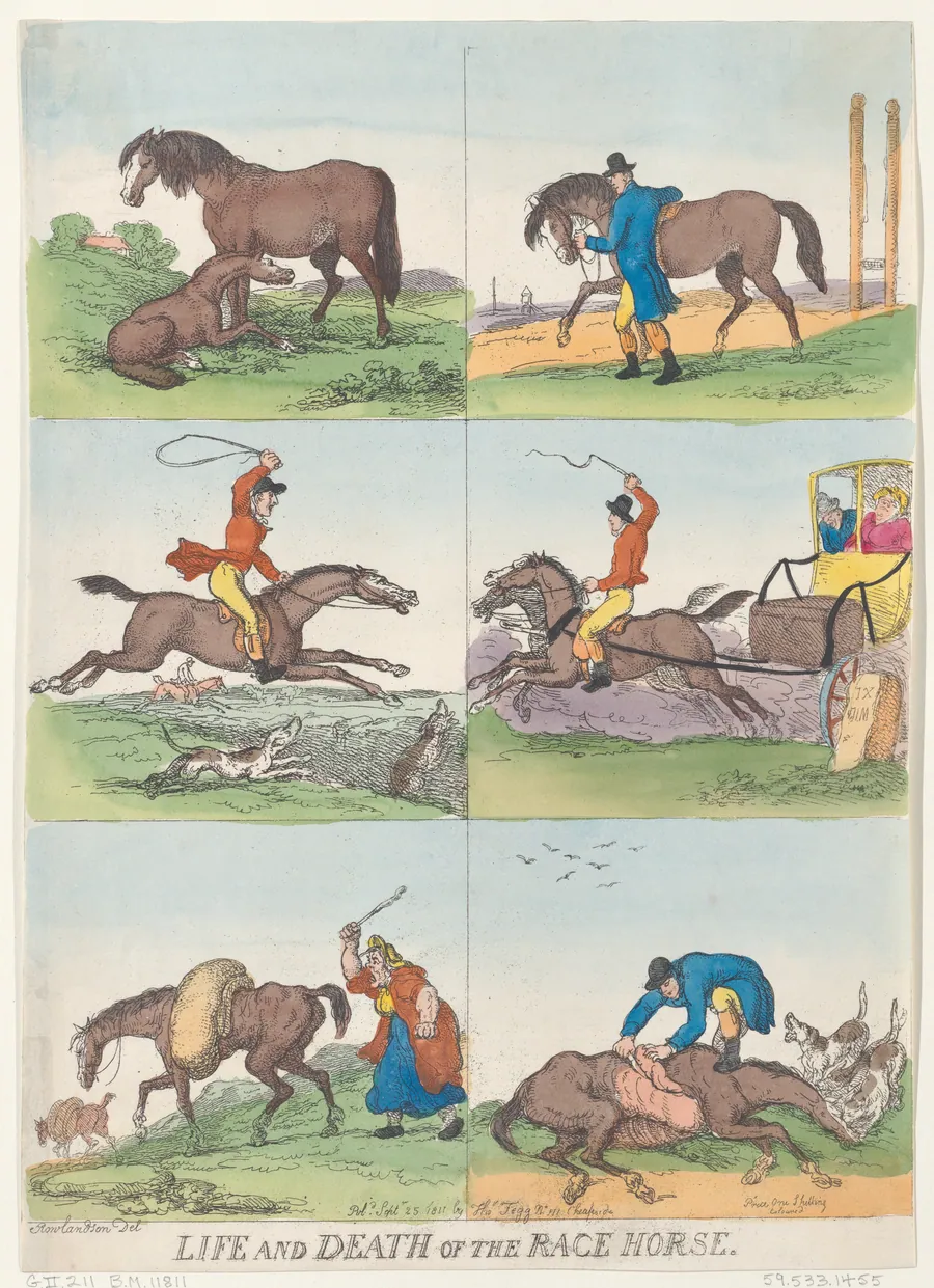 Life and Death of the Race Horse by Thomas Tegg