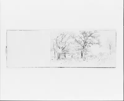 Tree Sketch (from Sketchbook VII)