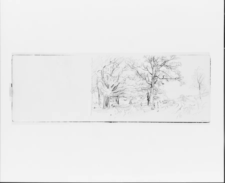 Tree Sketch (from Sketchbook VII) by William Trost Richards