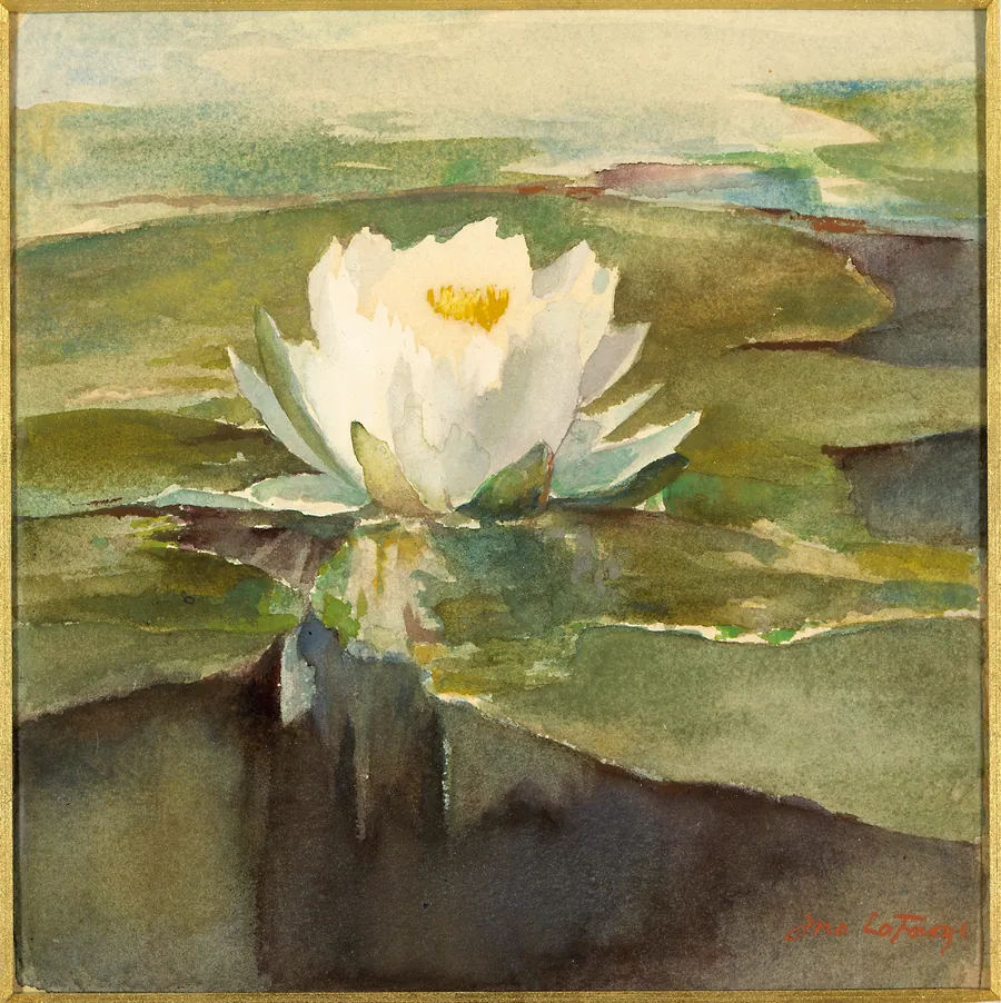 Water Lily in Sunlight by John La Farge, born New York City 1835-died Providence, RI 1910