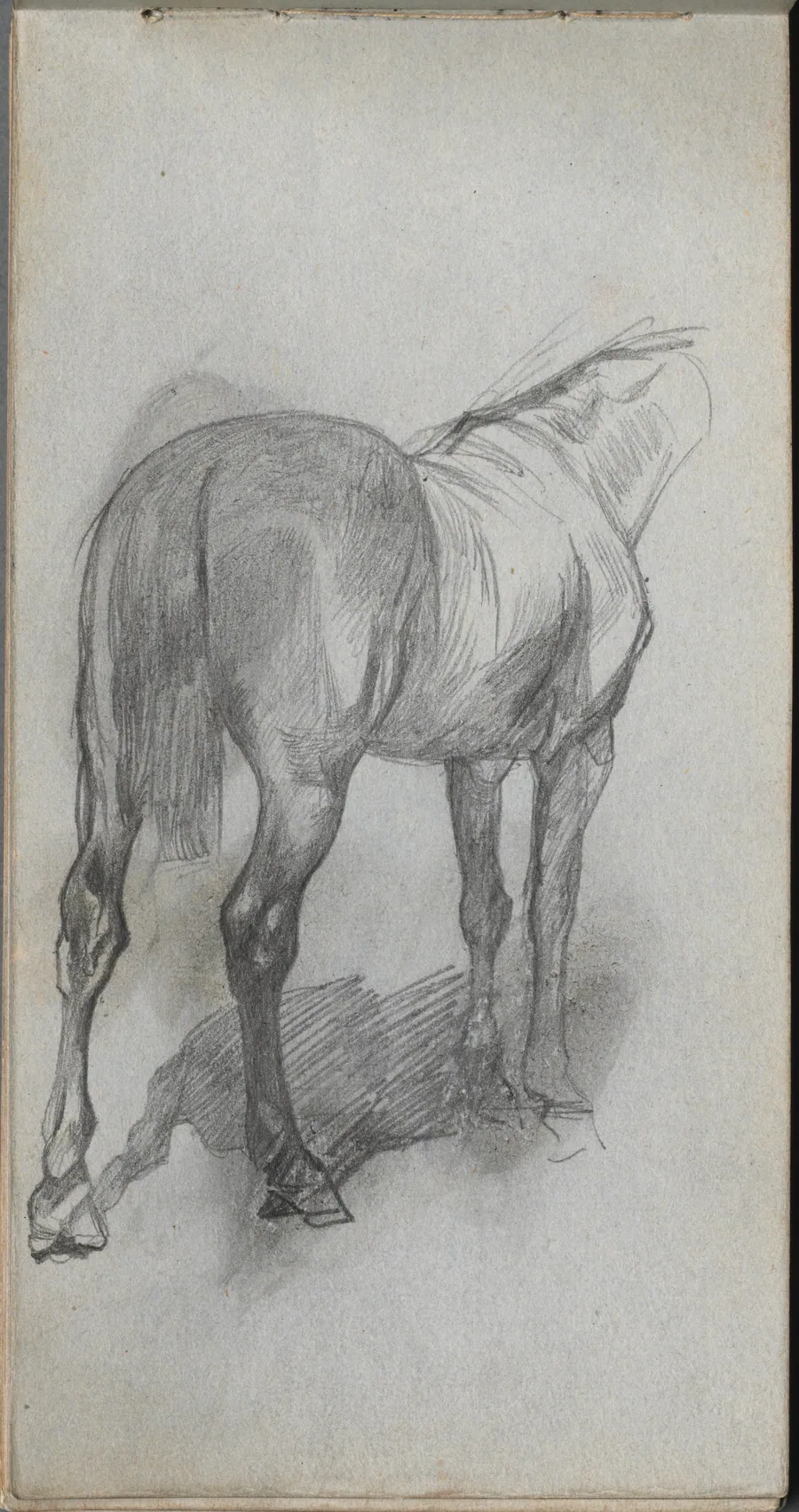 Sketchbook, page 76: Study of a Horse by Ernest Meissonier