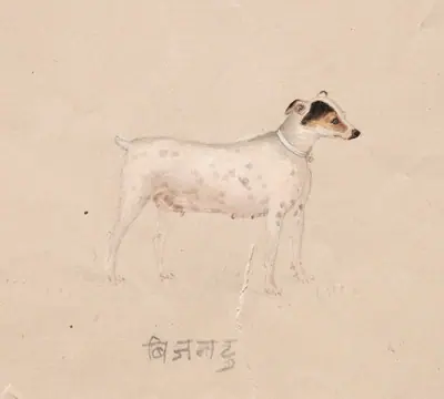 Bijantu