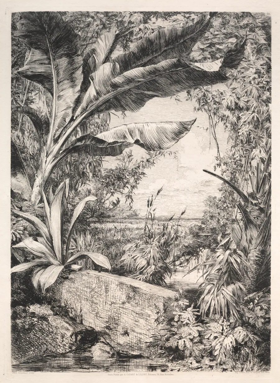 Plants of the Greenhouse by Jules Jacquemart