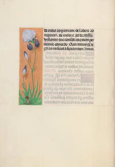 Hours of Queen Isabella the Catholic, Queen of Spain: Fol. 79v