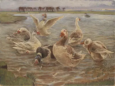 Gæs. Saltholm